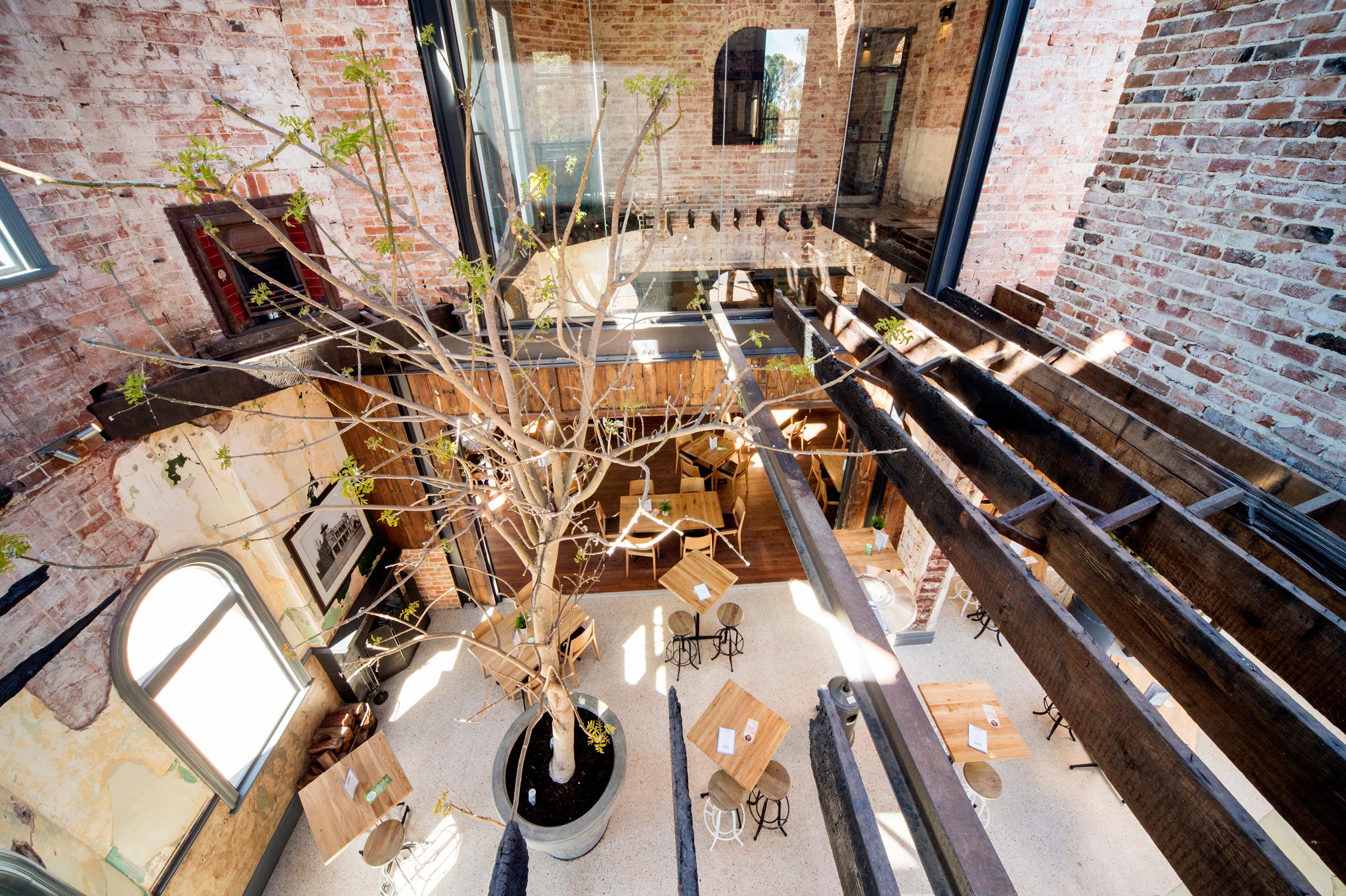 Guildford Hotel dining room with original burnt timber beams and large indoor tree